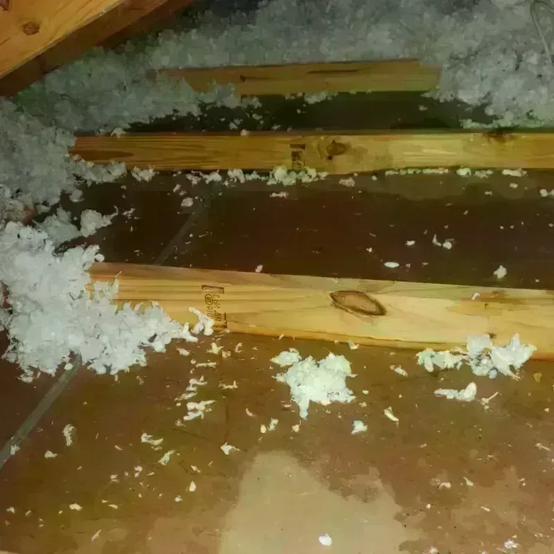 Attic Water Damage in Bloomfield, PA