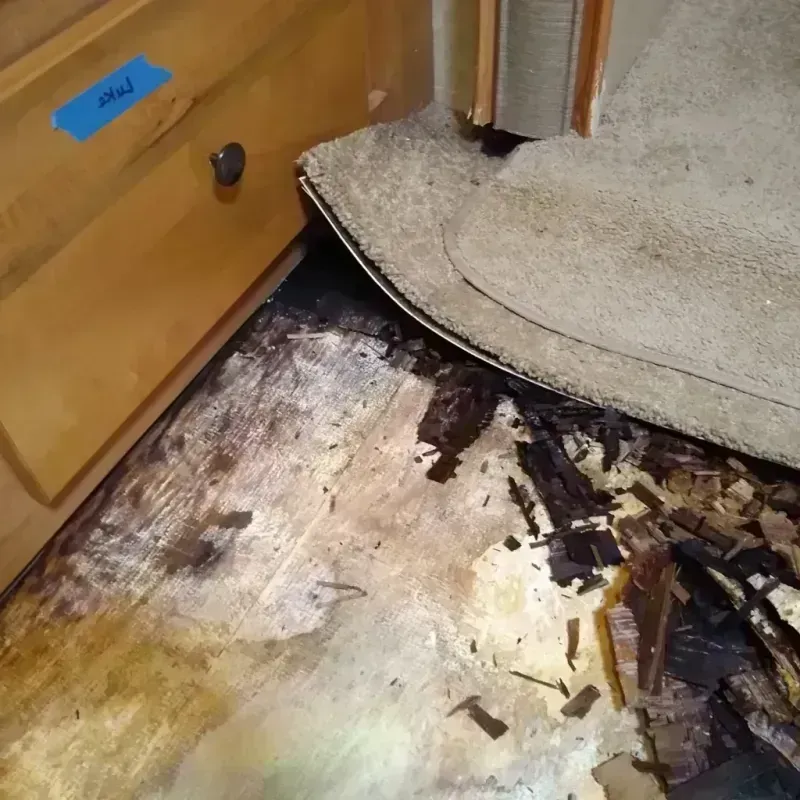 Best Wood Floor Water Damage Service in Bloomfield, PA